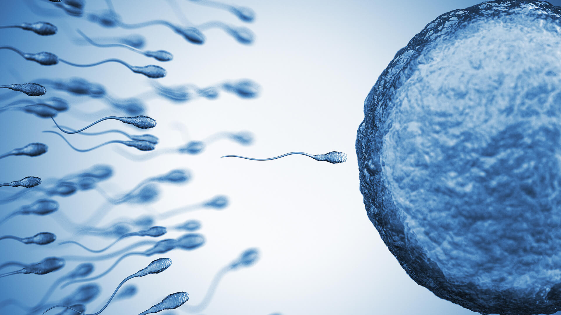 infertílitetsbehandling